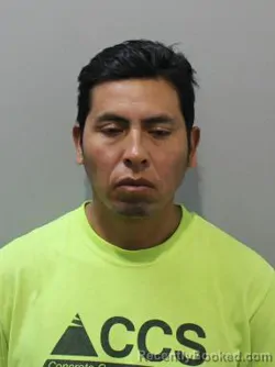 Mugshot of ANDI MALLQUI CAMAC booked in Blaine County, Idaho on June 15, 2026