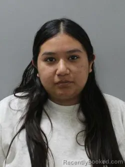 Mugshot of CHELSYE MONTES booked in Blaine County, Idaho on June 1, 2026