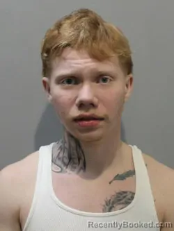 Mugshot of JACE MITCHELL