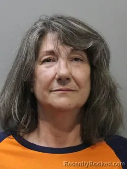 Mugshot of CYNTHIA NIELSEN booked in Blaine County, Idaho on June 20, 2026