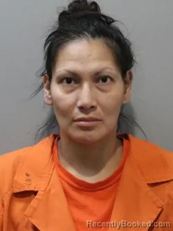 Mugshot of LYNNETTE NORTON booked in Blaine County, Idaho on June 18, 2026