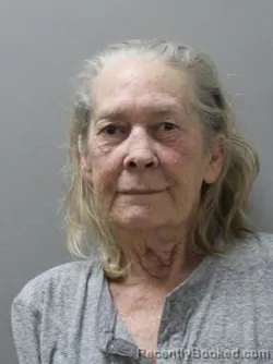 Mugshot of KATHLEEN PHILLIPS
