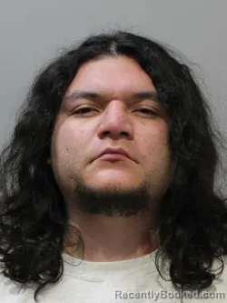 Mugshot of LEONEL PENA