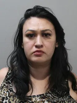 Mugshot of Marlene Perez booked in Blaine County, Idaho on August 29, 2026
