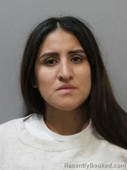 Mugshot of MARICIELO ROBLES-CORNEJO booked in Blaine County, Idaho on March 22, 2026