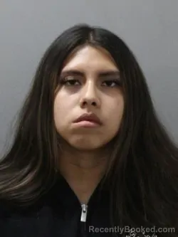 Mugshot of ANA SANCHEZ booked in Blaine County, Idaho on June 5, 2026