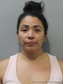 Mugshot of ALEJANDRA SILVA booked in Blaine County, Idaho on June 5, 2026