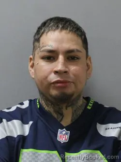 Mugshot of BRYAN VILCAPOMA QUISPE