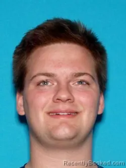 Mugshot of SAMUEL LEWIS PALMER