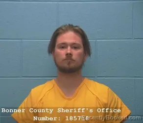 Mugshot of ALEXANDER WAYNE ELMORE
