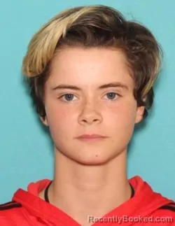 Mugshot of SERENITY ELLEN POISSONNIER DAHLBERG