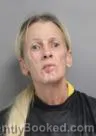 Mugshot of BRANDY WADE WILSON booked in Union County, South Carolina on July 2, 2026
