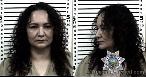 Mugshot of DIANE SANTOYA