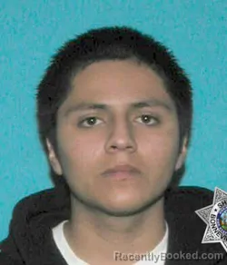 Mugshot of FAVIAN ANDRES LOPEZ booked in Bonneville County, Idaho on July 19, 2026