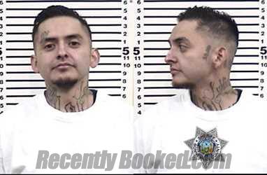 Booking photo from Bonneville County, Idaho
