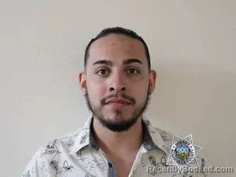 Mugshot of ELIAS DAMYAN DIEGO-BRADLEY