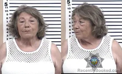 Mugshot of CINDY LOUISE STANDLEY booked in Bonneville County, Idaho on May 17, 2026