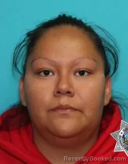 Mugshot of ANNA LYNN STACEY booked in Bonneville County, Idaho on March 26, 2026