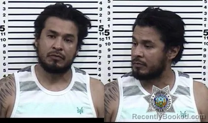 Mugshot of FABIAN CABRERA LANDEROS