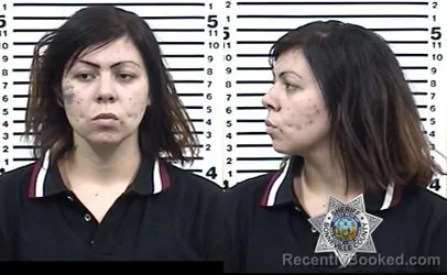 Mugshot of LYLLIANA DIANA ALVARADO booked in Bonneville County, Idaho on May 21, 2026