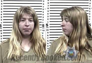 Booking photo from Bonneville County, Idaho