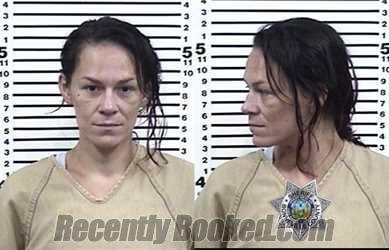 Booking photo from Bonneville County, Idaho