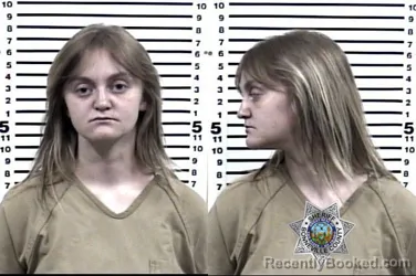Mugshot of ALLIE MORGAN REED booked in Bonneville County, Idaho on August 3, 2026