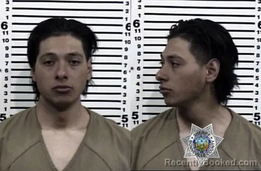 Mugshot of LUIS ALONSO GAITAN GARNICA