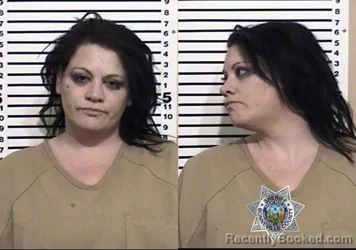 Mugshot of STEPHANIE ANN MCENTIRE