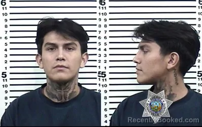 Mugshot of CARLO ZAHID COHEA booked in Bonneville County, Idaho on April 1, 2026