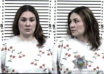 Booking photo from Bonneville County, Idaho