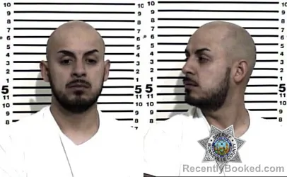 Mugshot of LUIS ALBERTO MURILLO ESPINOZA