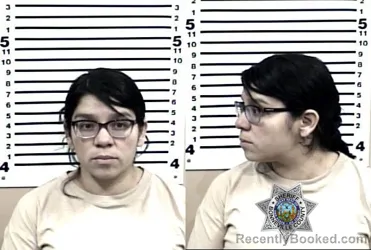 Mugshot of ANITA MARIE FLORES