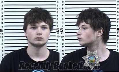 Booking photo from Bonneville County, Idaho