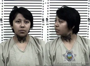 Mugshot of KEELEY ANN GEORGE FISHER booked in Bonneville County, Idaho on July 14, 2026