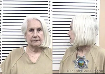 Mugshot of LINDA ANN DRESSER booked in Bonneville County, Idaho on April 4, 2026