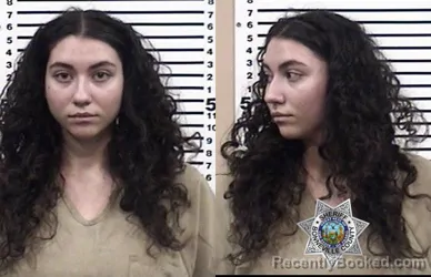 Booking photo from Bonneville County, Idaho