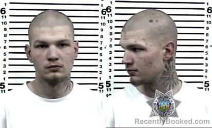 Mugshot of ANTHONY ALLEN MABE