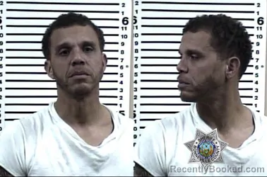 Mugshot of BRETT ANTHONY GIBSON
