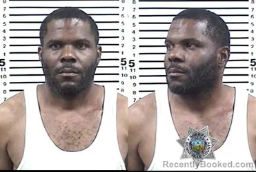 Booking photo from Bonneville County, Idaho