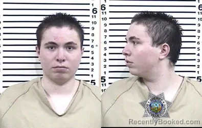 Mugshot of SEBASTIAN JOMIKEL LOUW booked in Bonneville County, Idaho on July 20, 2026
