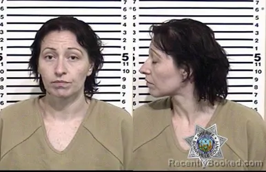 Mugshot of HOLLIE DIANE DOBSON booked in Bonneville County, Idaho on August 1, 2026