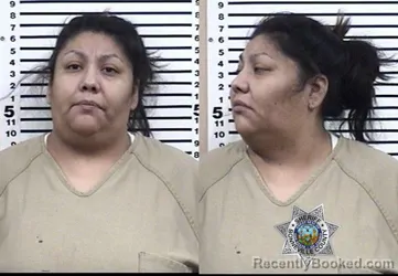 Booking photo from Bonneville County, Idaho