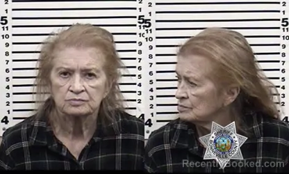 Mugshot of SHARON ANN STICKLEY booked in Bonneville County, Idaho on March 6, 2026