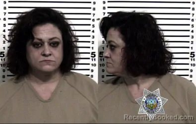 Mugshot of CHANTEL MARIE DANKS booked in Bonneville County, Idaho on July 7, 2026