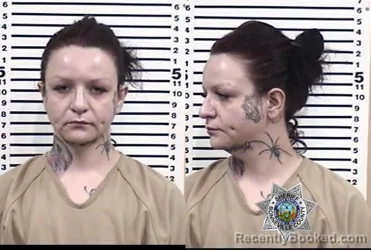 Mugshot of ALISHA ANNE BATTON booked in Bonneville County, Idaho on April 1, 2026