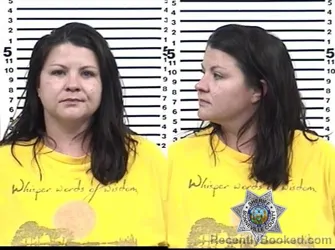 Mugshot of AMANDA KAY ROWETT booked in Bonneville County, Idaho on July 20, 2026