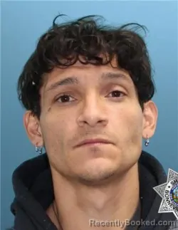 Mugshot of ARMANDO SILVAS