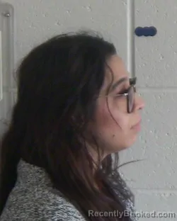 Mugshot of LISANDRA AMANDA LARA