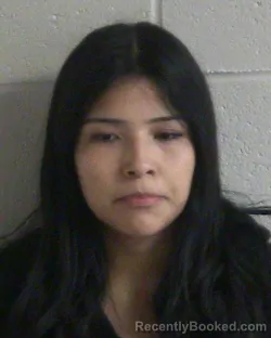 Mugshot of ANAHI MONIQUE HURTADO booked in Canyon County, Idaho on July 8, 2026